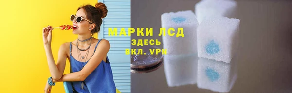 СК Зеленодольск